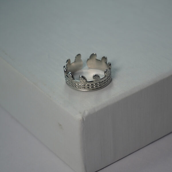Silver Ring #2