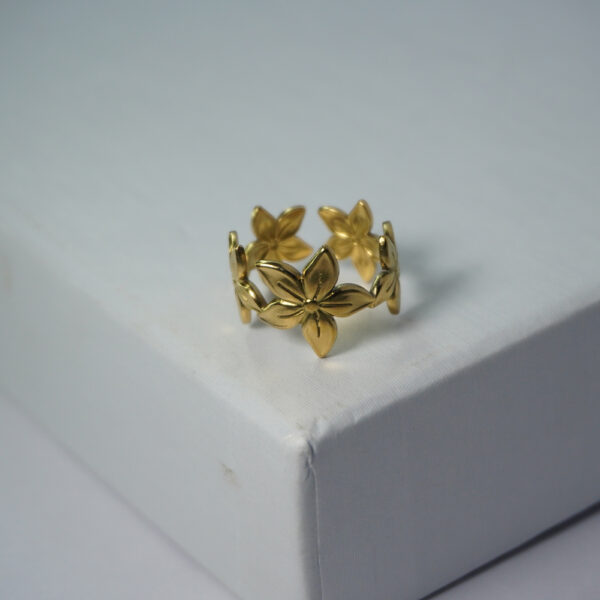 Golden Ring #19