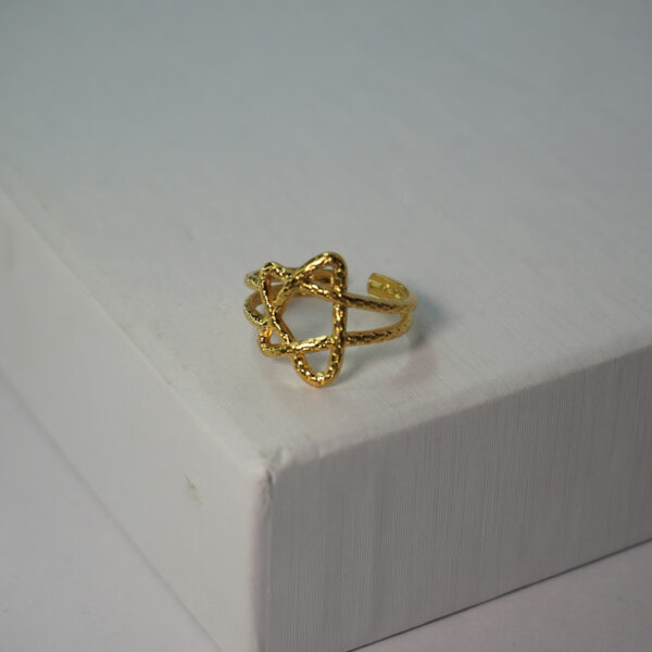 Golden Ring #25